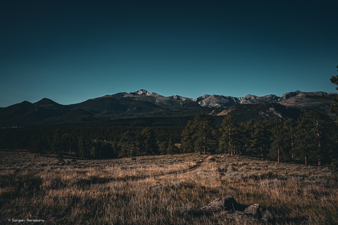 Dry meadow and scattered pines beneath a mountain range in fading evening light.