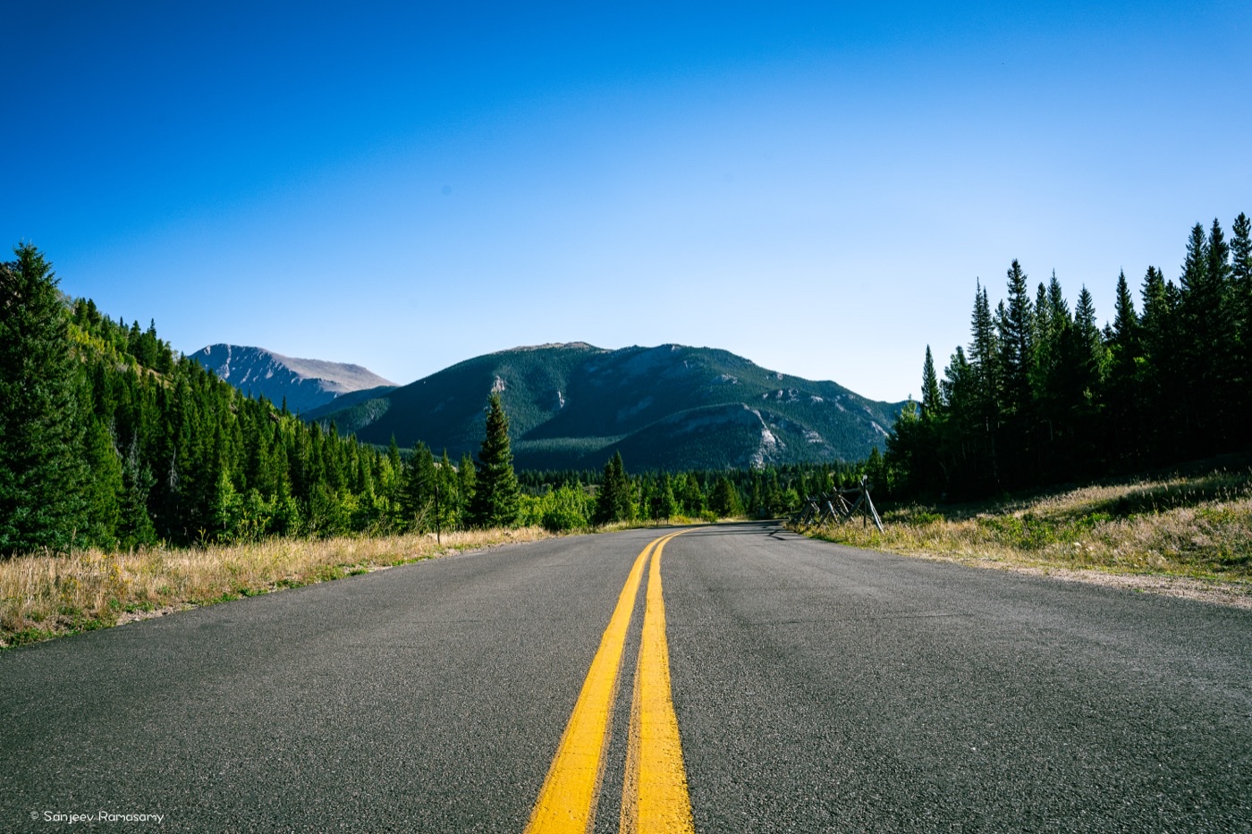 Empty two-lane road with a double yellow line running between pine trees toward distant mountains.
