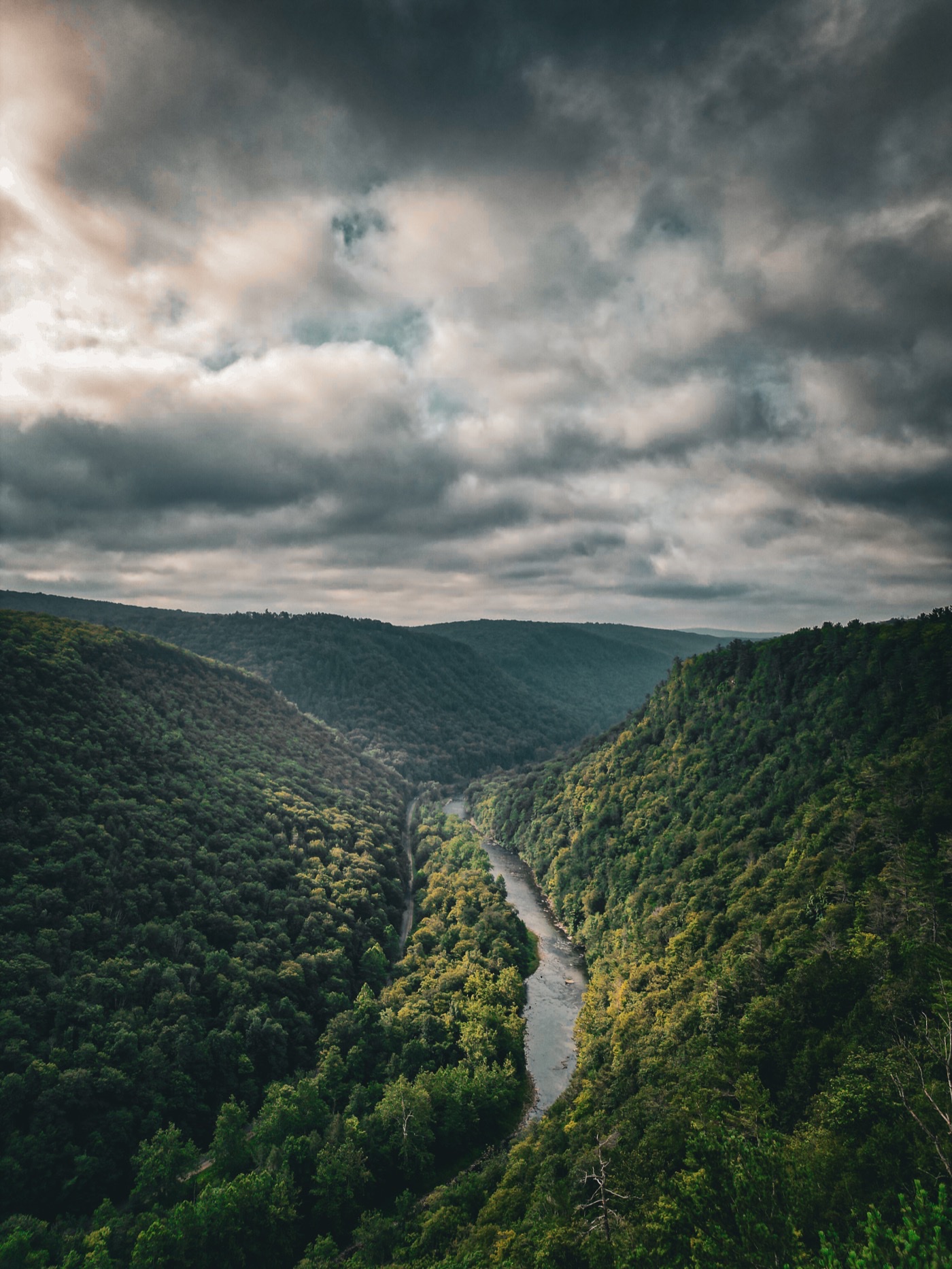 Aerial view of a river winding through a deep, forested valley under heavy clouds.