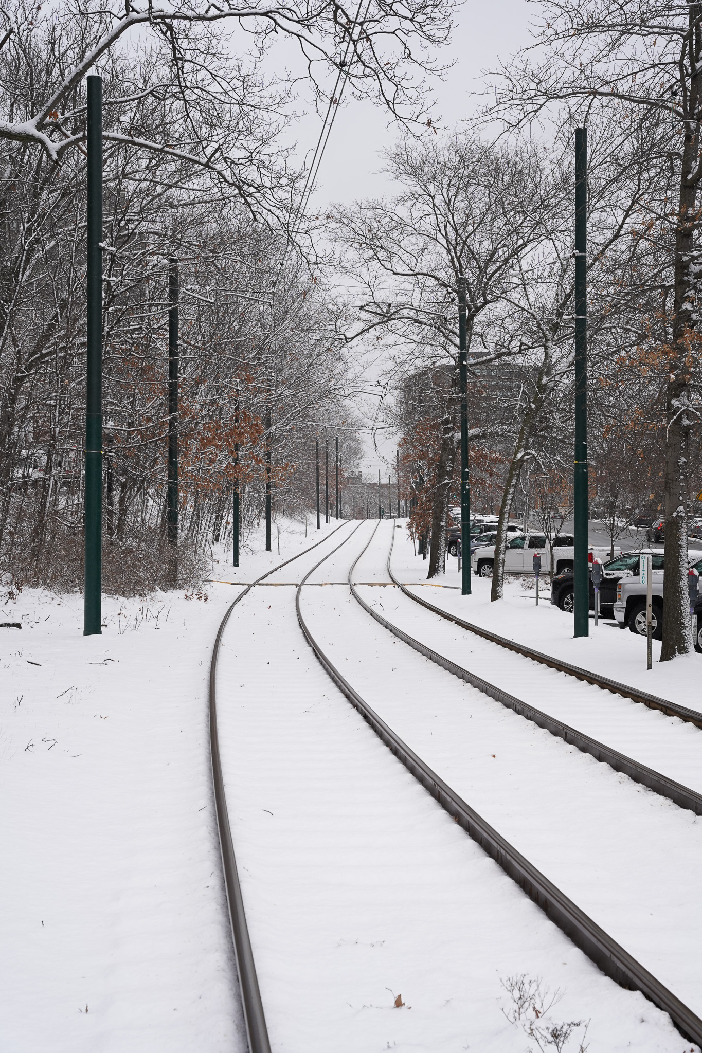 Streetcar tracks curving through fresh snow between rows of bare trees.